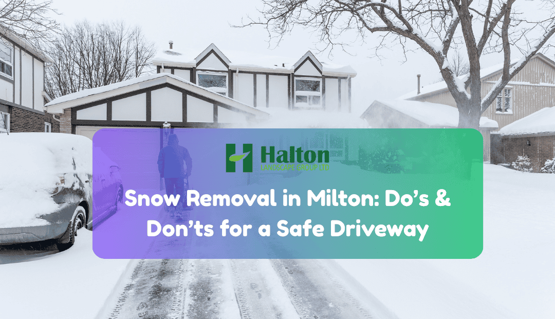 snow removal in milton